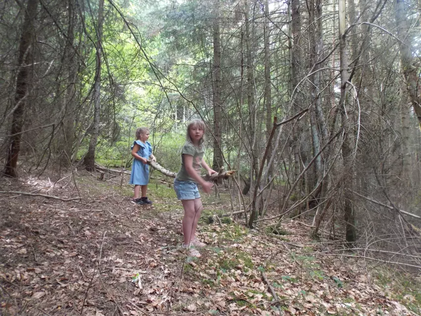  - Galerie semaine du 25 au 29 juillet