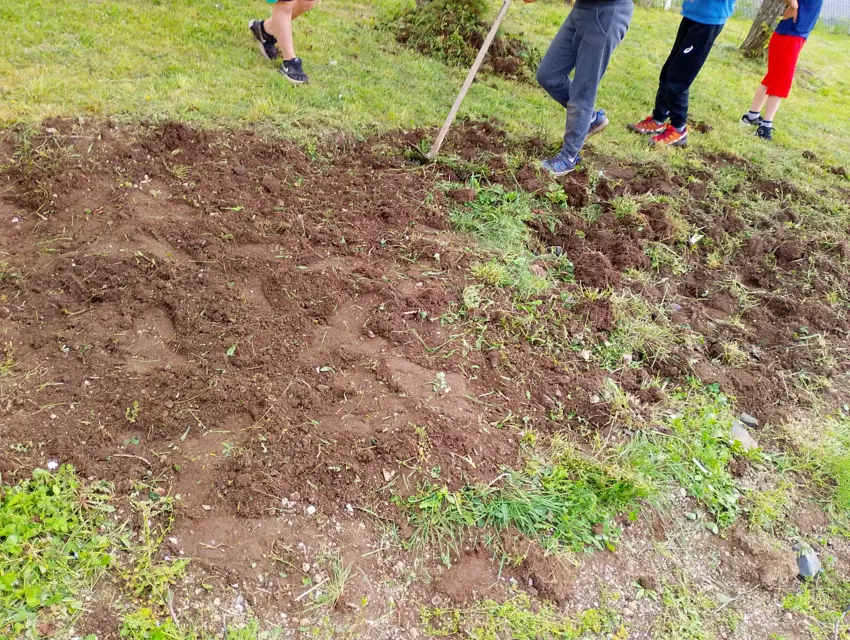  - Galerie Mercredis 2025