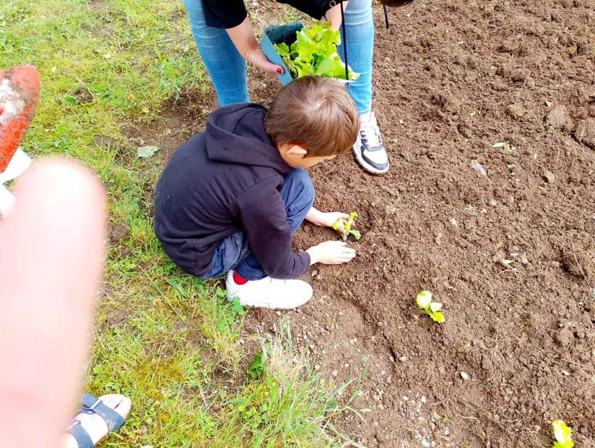  - Galerie Mercredis 2025