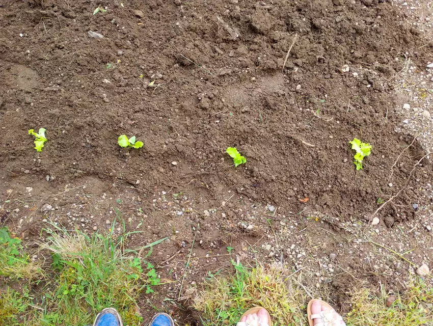  - Galerie Mercredis 2025