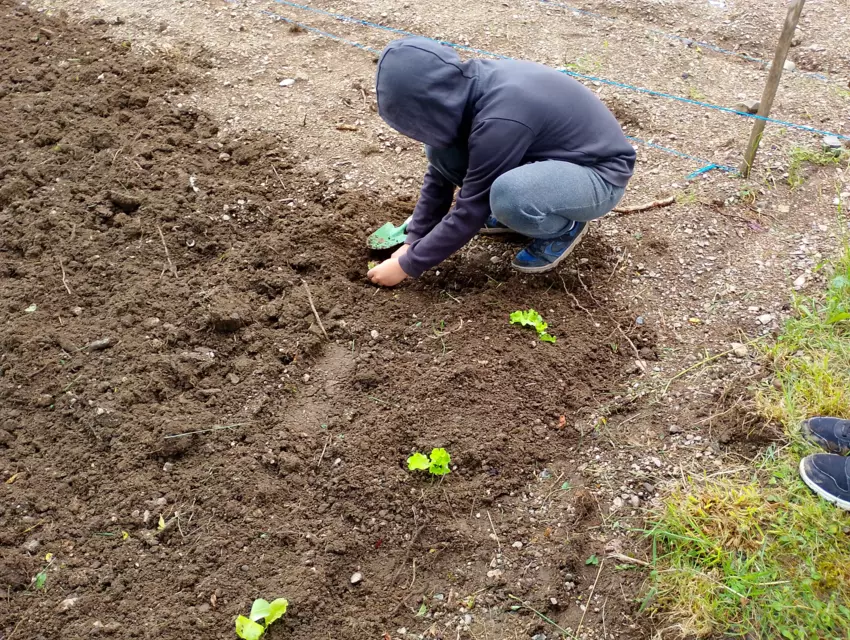  - Galerie Mercredis 2025