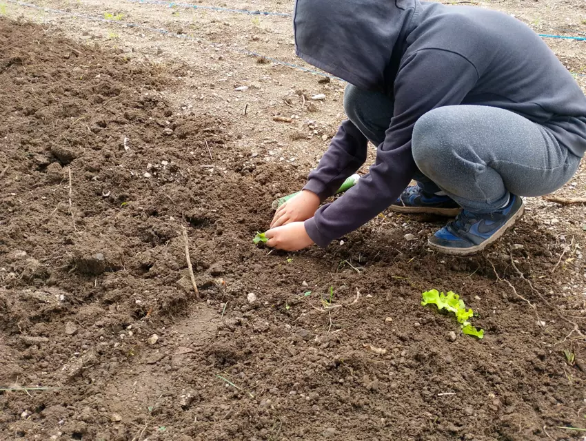  - Galerie Mercredis 2025