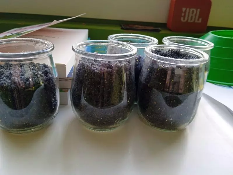  - Galerie Le jour je bouge, la nuit je rêve février 2026