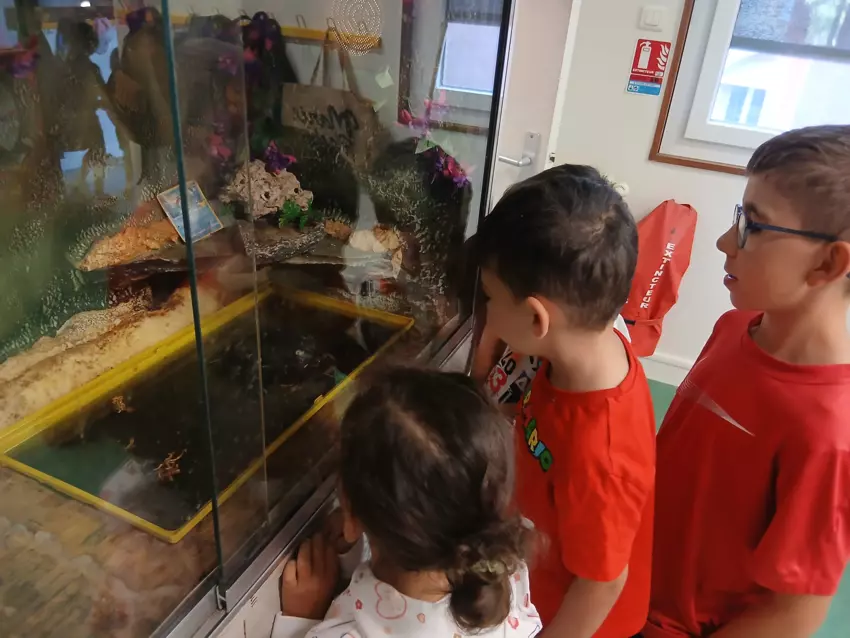  - Galerie Été 2025