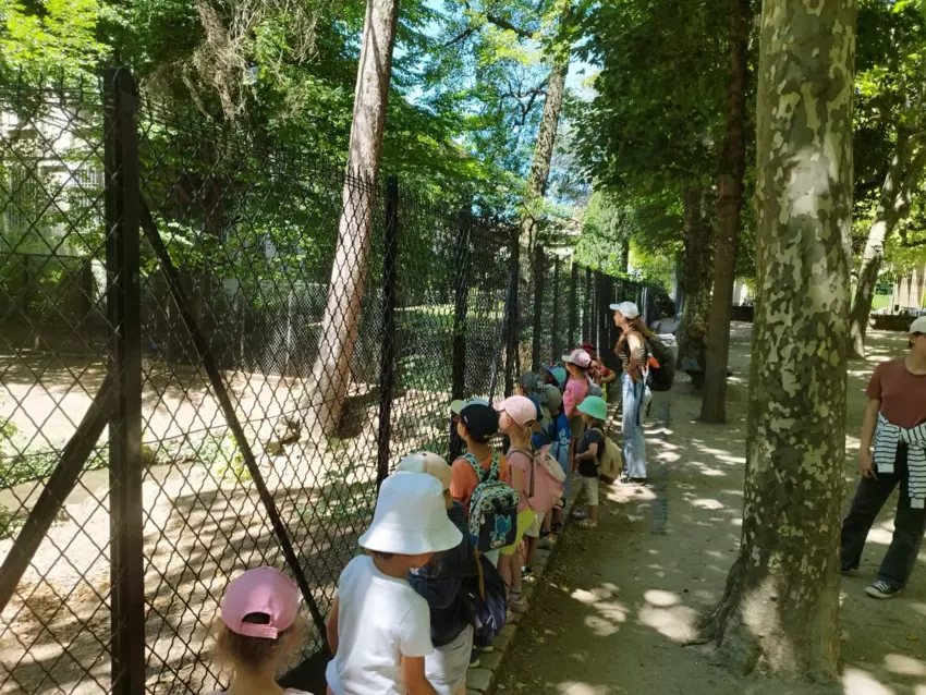  - Galerie Été 2025