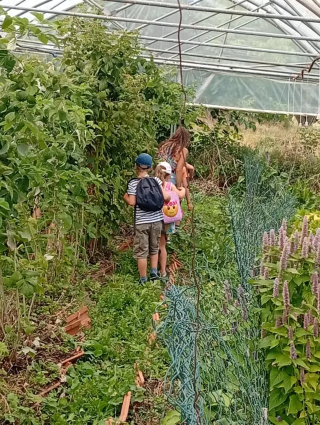  - Galerie Séjour de la Terre à l'assiette