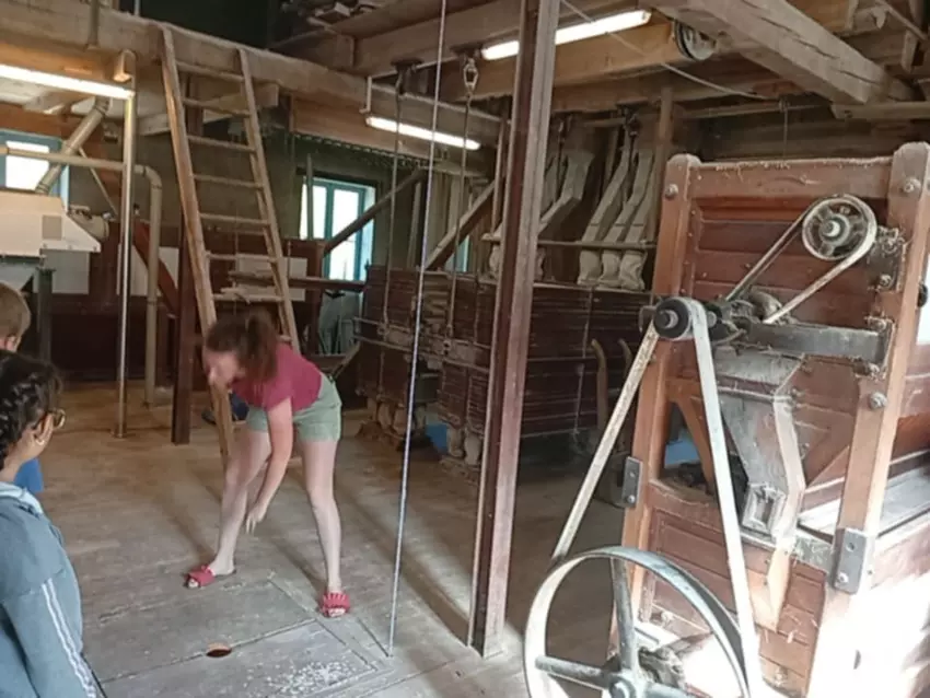  - Galerie Séjour de la Terre à l'assiette