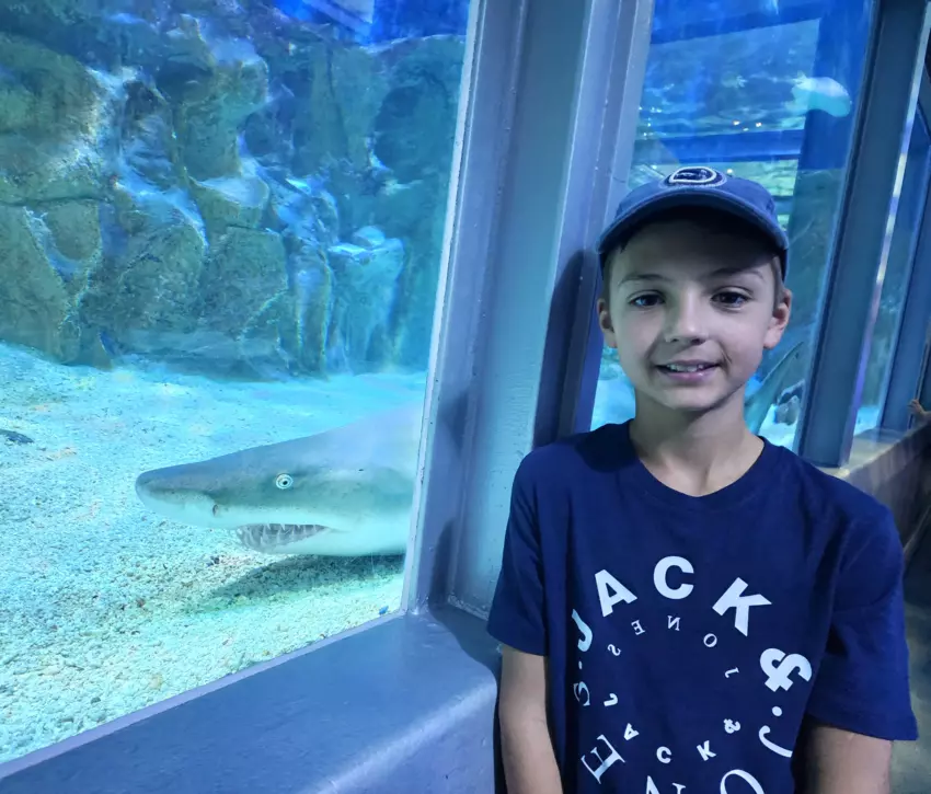  - Galerie Camp plage