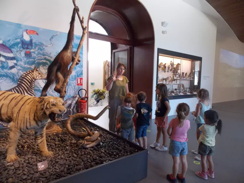  - Galerie semaine du 1 au 5 aout "