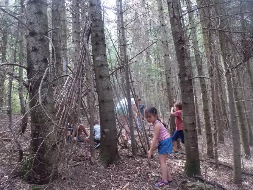  - Galerie semaine du 25 au 29 juillet