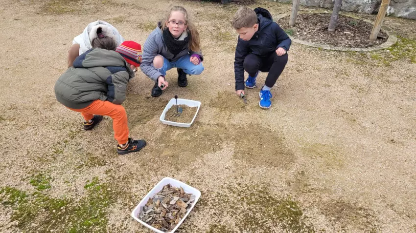  - Galerie Les vers de terres