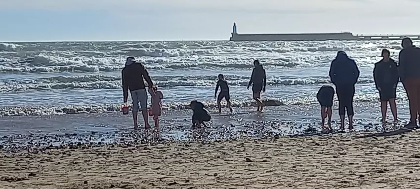  - Galerie Le puy du fou
