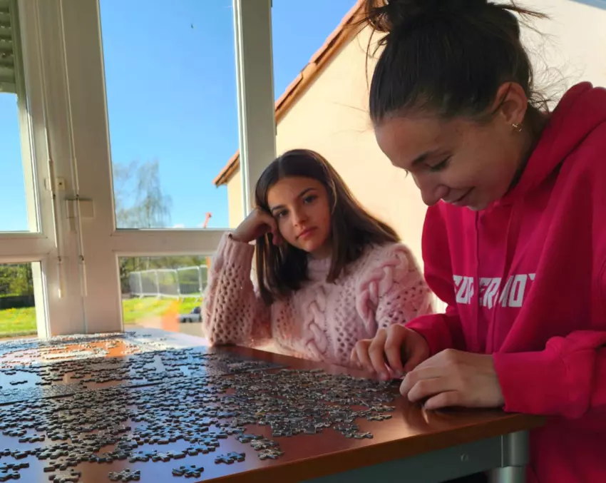  - Galerie Printemps 2025 "Paléontologues en herbe"