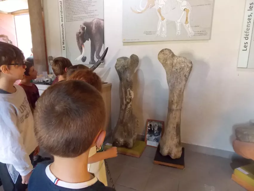  - Galerie semaine du 25 au 29 juillet