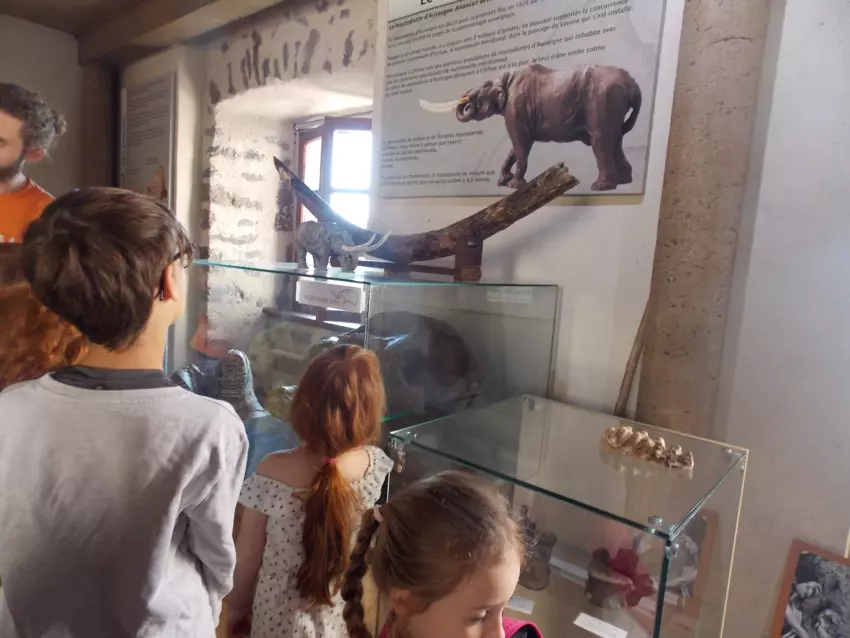  - Galerie semaine du 25 au 29 juillet