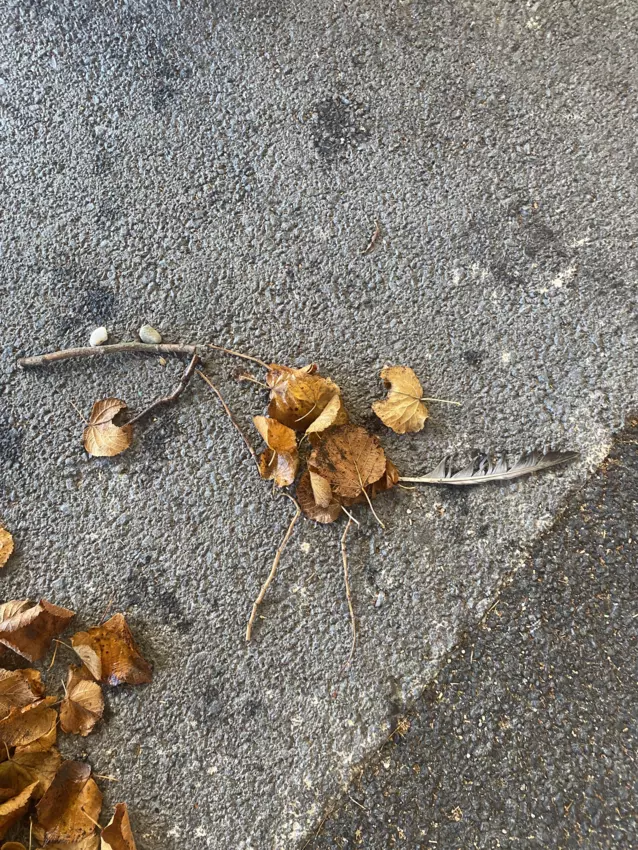  - Galerie Octobre 2025