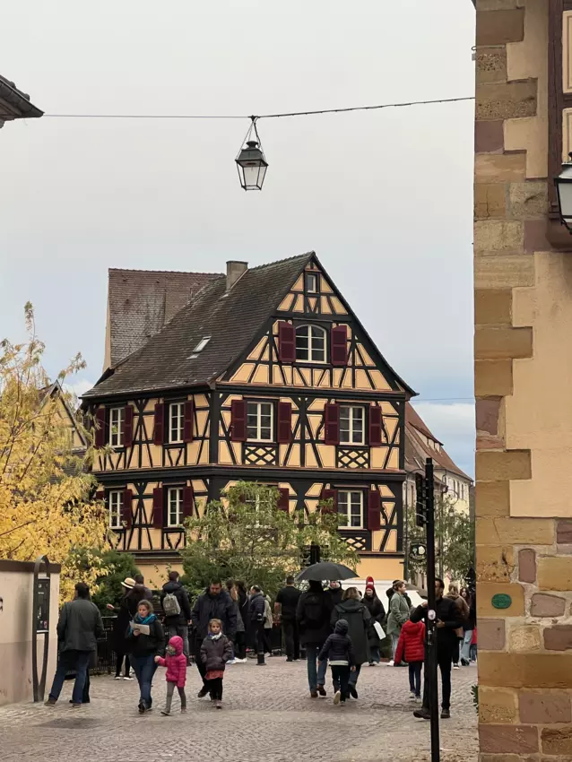  - Galerie Camps Alsace