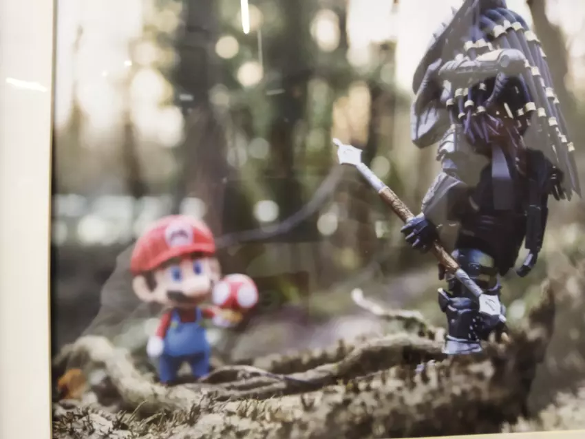  - Galerie Camps Alsace