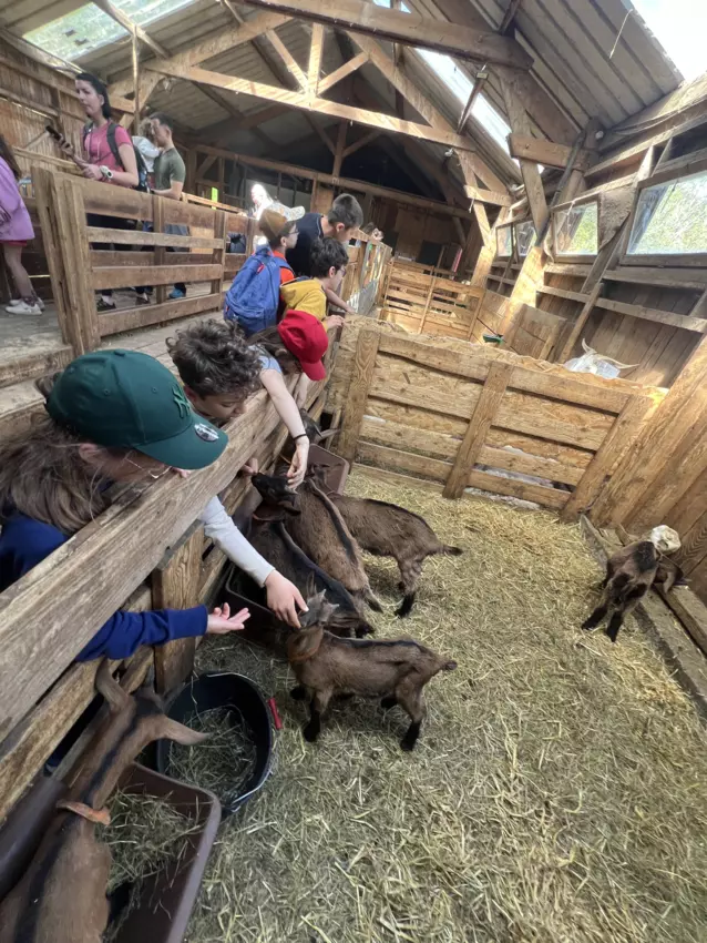  - Galerie Camps "Volcans & Minéraux"