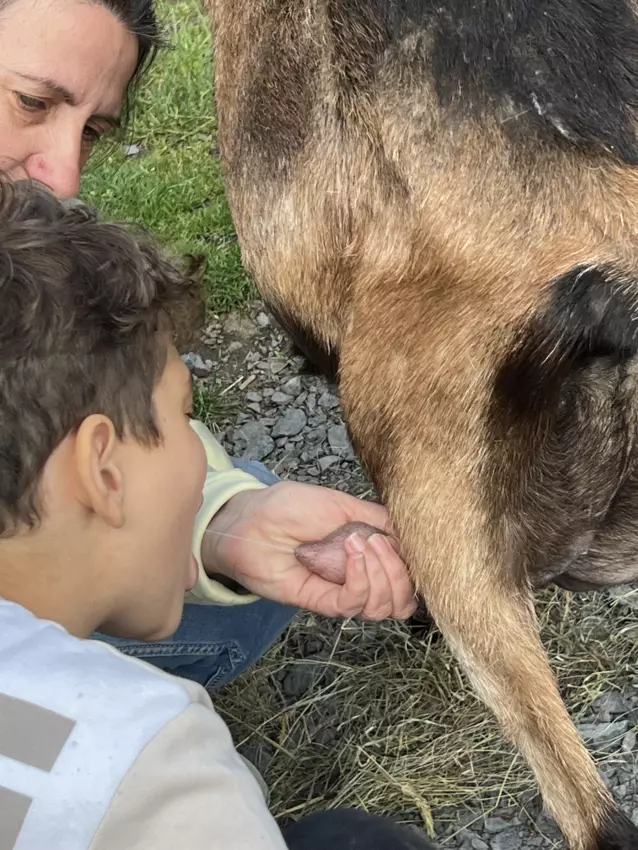  - Galerie Camps "Volcans & Minéraux"