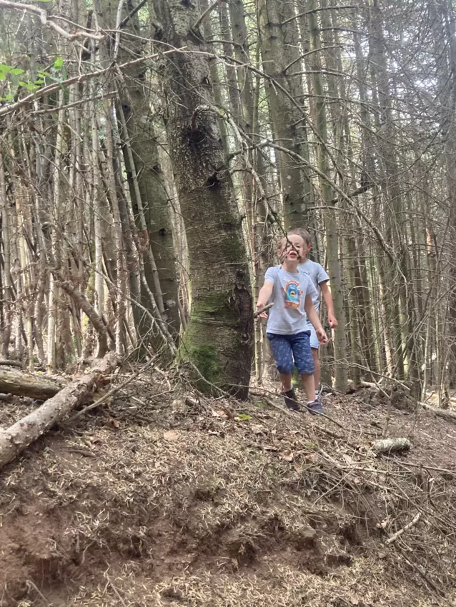  - Galerie semaine du 25 au 29 juillet