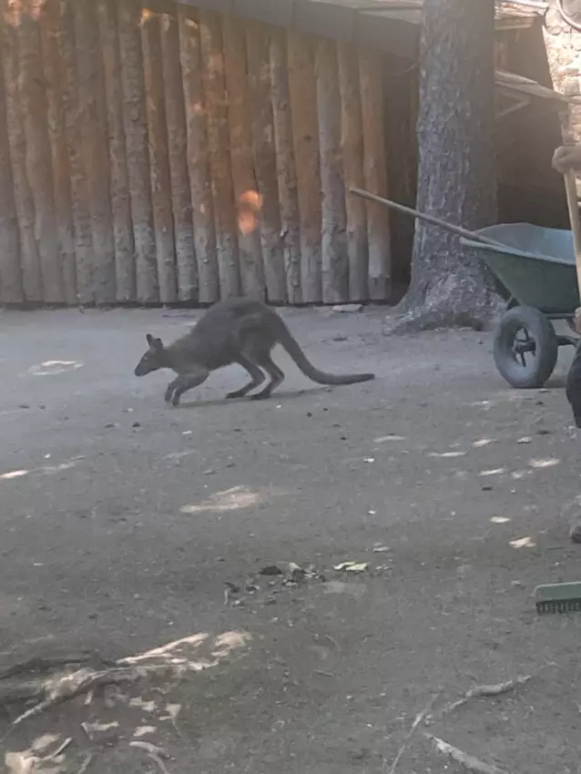  - Galerie semaine du 1 au 5 aout "