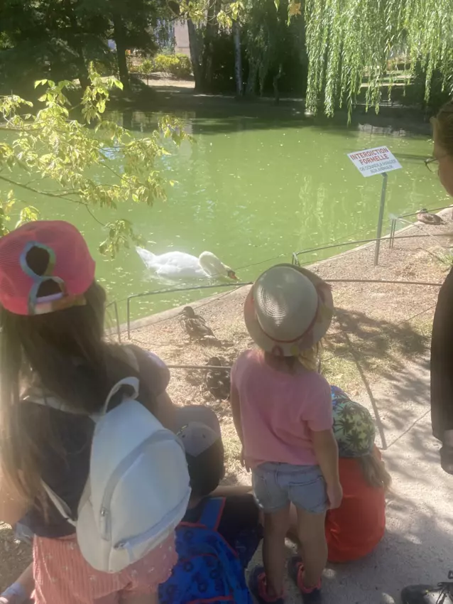  - Galerie semaine du 1 au 5 aout "