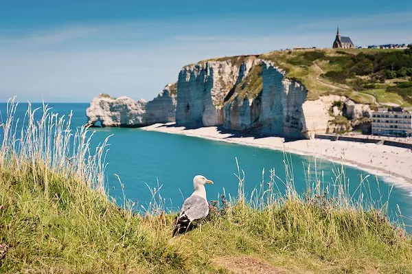 Séjour '✨ Un voyage ludique et culturel au cœur de la Normandie ✨'