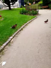 Centre de Saugues - Vacances - Galerie Vacances été 2025