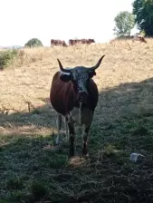 Centre de Vals Prés le Puy - Vacances - Galerie Séjour de la Terre à l'assiette