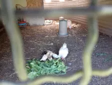 Centre de Vals Prés le Puy - Vacances - Galerie Séjour de la Terre à l'assiette