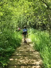Centre de Velay Ouest (Loudes) - Vacances - Galerie Camp 2024 "Route des Gentianes"
