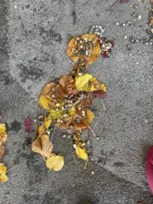 Centre de Siaugues Sainte Marie - Vacances - Galerie Octobre 2025