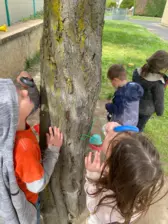 Centre de Paulhaguet - Vacances - Galerie Les petites bêtes