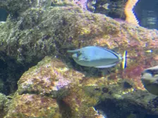 Séjour ✨ Un voyage ludique et culturel au cœur de la Normandie ✨ - Galerie La cité de la mer / deuxième jour