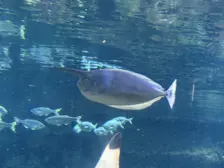 Séjour ✨ Un voyage ludique et culturel au cœur de la Normandie ✨ - Galerie La cité de la mer / deuxième jour