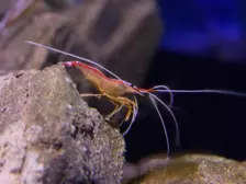Séjour ✨ Un voyage ludique et culturel au cœur de la Normandie ✨ - Galerie La cité de la mer / deuxième jour