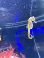 Séjour ✨ Un voyage ludique et culturel au cœur de la Normandie ✨ - Galerie La cité de la mer / deuxième jour