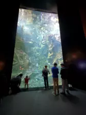 Séjour ✨ Un voyage ludique et culturel au cœur de la Normandie ✨ - Galerie La cité de la mer / deuxième jour