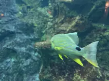 Séjour ✨ Un voyage ludique et culturel au cœur de la Normandie ✨ - Galerie La cité de la mer / deuxième jour