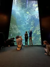 Séjour ✨ Un voyage ludique et culturel au cœur de la Normandie ✨ - Galerie La cité de la mer / deuxième jour