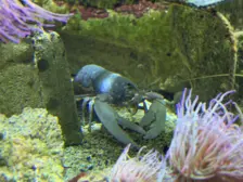 Séjour ✨ Un voyage ludique et culturel au cœur de la Normandie ✨ - Galerie La cité de la mer / deuxième jour