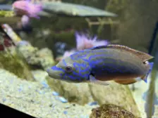 Séjour ✨ Un voyage ludique et culturel au cœur de la Normandie ✨ - Galerie La cité de la mer / deuxième jour