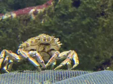 Séjour ✨ Un voyage ludique et culturel au cœur de la Normandie ✨ - Galerie La cité de la mer / deuxième jour