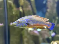 Séjour ✨ Un voyage ludique et culturel au cœur de la Normandie ✨ - Galerie La cité de la mer / deuxième jour