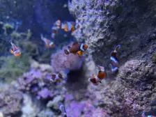 Séjour ✨ Un voyage ludique et culturel au cœur de la Normandie ✨ - Galerie La cité de la mer / deuxième jour