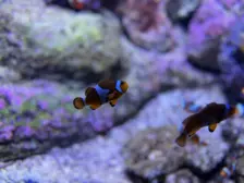 Séjour ✨ Un voyage ludique et culturel au cœur de la Normandie ✨ - Galerie La cité de la mer / deuxième jour