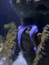 Séjour ✨ Un voyage ludique et culturel au cœur de la Normandie ✨ - Galerie La cité de la mer / deuxième jour