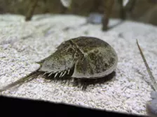 Séjour ✨ Un voyage ludique et culturel au cœur de la Normandie ✨ - Galerie La cité de la mer / deuxième jour