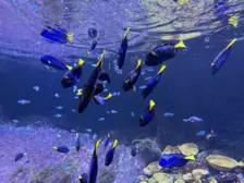 Séjour ✨ Un voyage ludique et culturel au cœur de la Normandie ✨ - Galerie La cité de la mer / deuxième jour